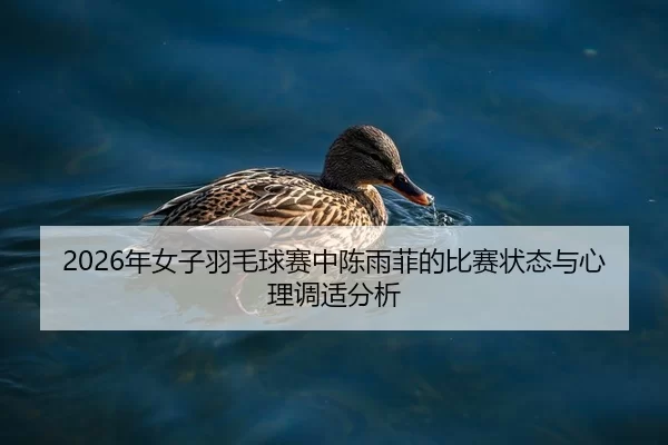 2026年女子羽毛球赛中陈雨菲的比赛状态与心理调适分析