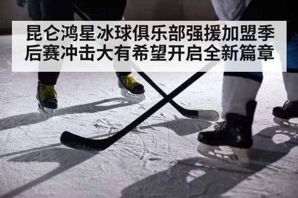 ice hockey player action