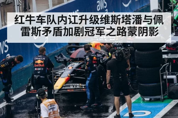 Red Bull F1 team